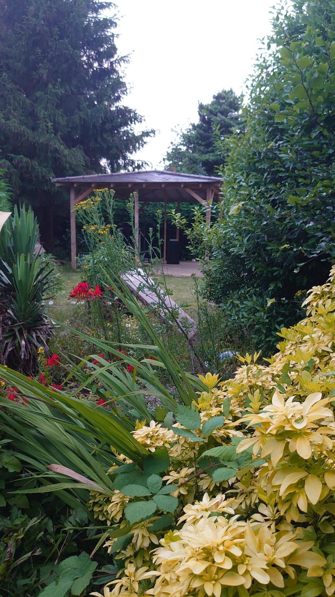 Chiltern Nursuries Amersham
